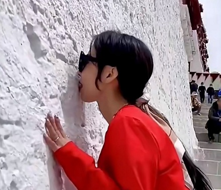 为什么有游客要舔布达拉宫的墙？