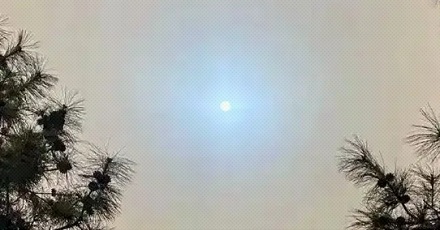 为什么在沙尘暴的时候看太阳会变成蓝色？