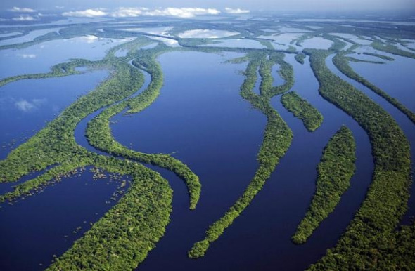 亚马逊河流域产生世界上40％的氧气和全世界25％的清水