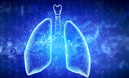 人的肺包含30多万根毛细血管