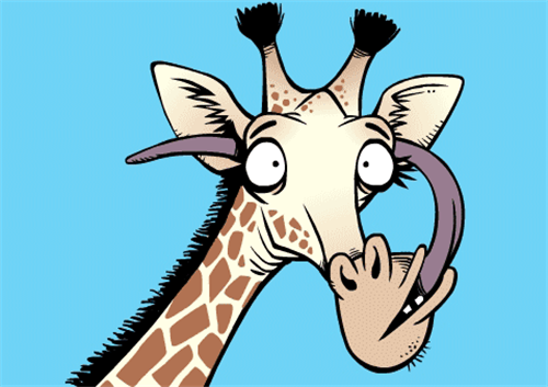 长颈鹿的舌头能够舔到它的耳朵内部。