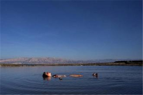 死海其实不是海,而是一个内陆湖