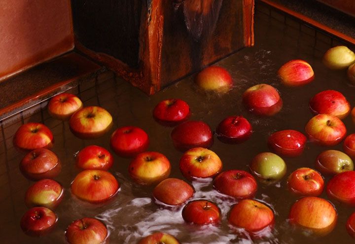 苹果能漂浮在水中，因为它的果实中含有25％的空气