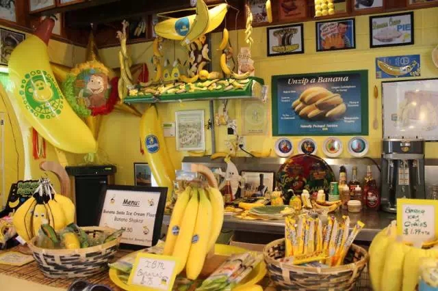 美国香蕉博物馆