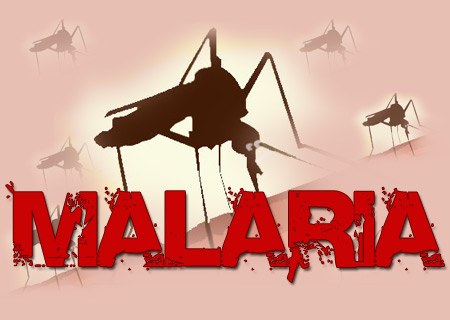 疟疾的英文名字叫 Malaria