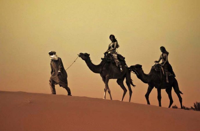 在阿拉伯语中，骆驼有数百个叫法