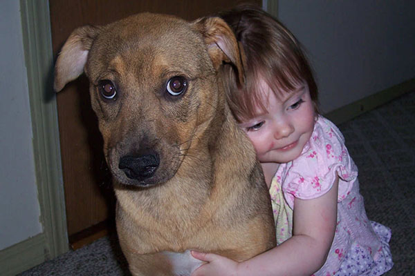 狗狗并不喜欢被人类拥抱
