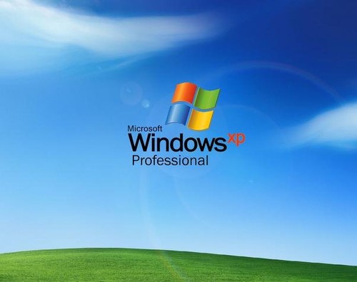 windows xp 中XP表示英文单词的「体验」(experience）