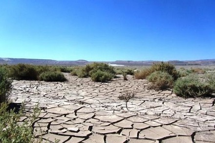 阿塔卡马沙漠（Atacama Desert）位于南美洲西海岸中部的沙漠地区，是世界上最干燥的地区。据记载，在这片沙漠中心，有些地方从没有下过雨。