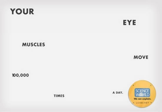 人的眼部肌肉每天运动的次数高达10万次
