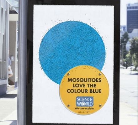 蚊子最喜欢蓝色