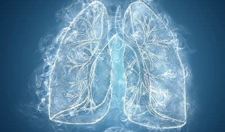 肺是人体唯一不消耗任何能量而起作用的器官