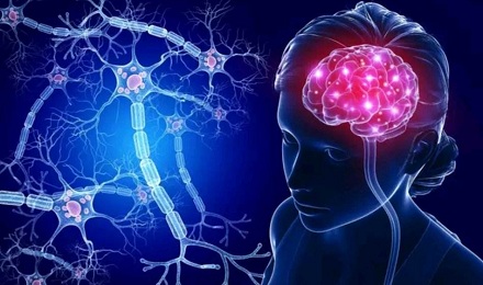大脑发送的神经脉冲速度是多少？