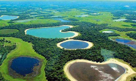 你知道世界上最大的湿地吗？