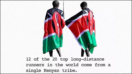 最优秀的长跑运动员大多来自肯尼亚