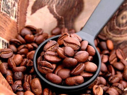 世界上最贵的咖啡是什么？