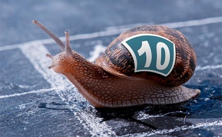 你听说过蜗牛赛跑吗？