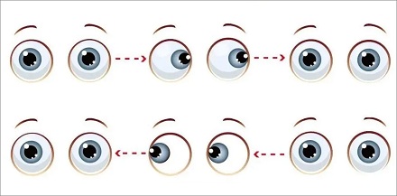 左右转动眼球可提高记忆力？